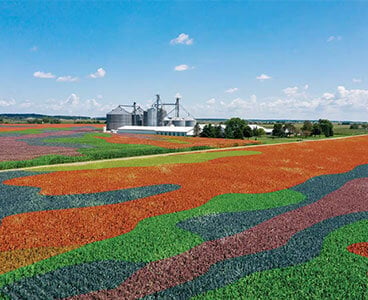 AFS Soil Command